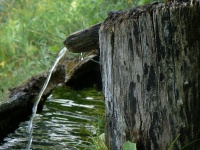 Old Fountain Wooden