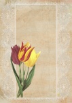 Vintage Tulip Art Collage