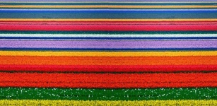Wallpaper With Colorful Stripes