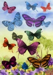 Watercolor Butterflies Art