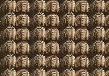 Zebra Hide Wallpaper