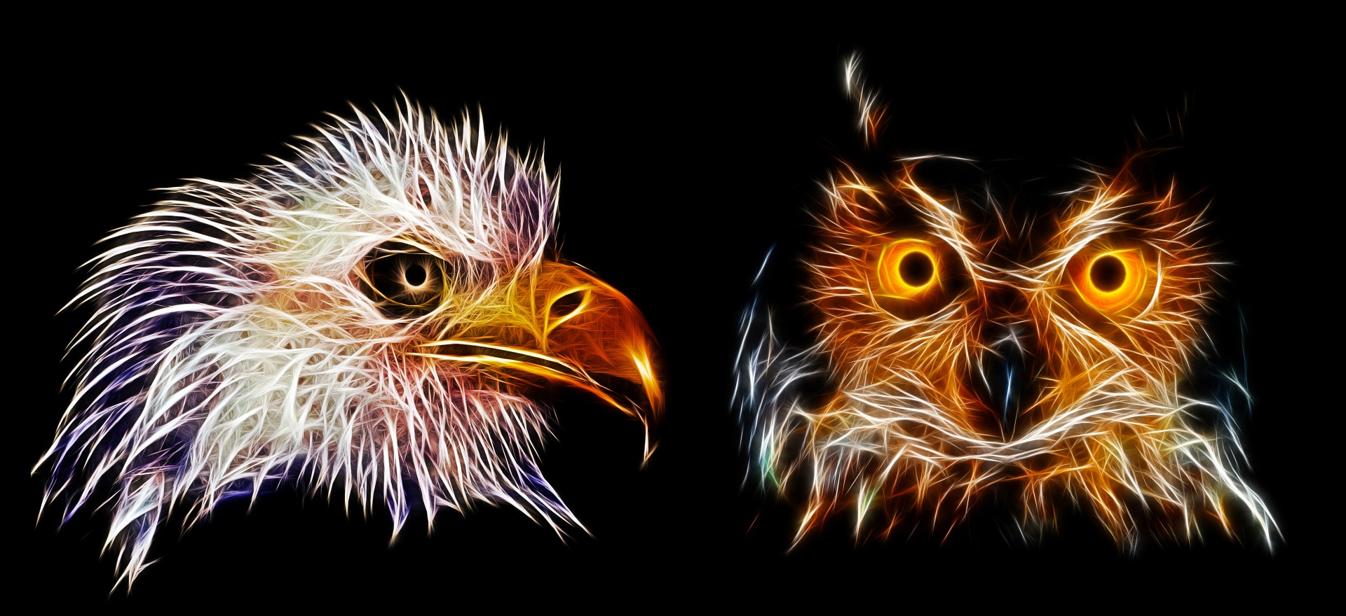 Predatory birds with some artistic effects