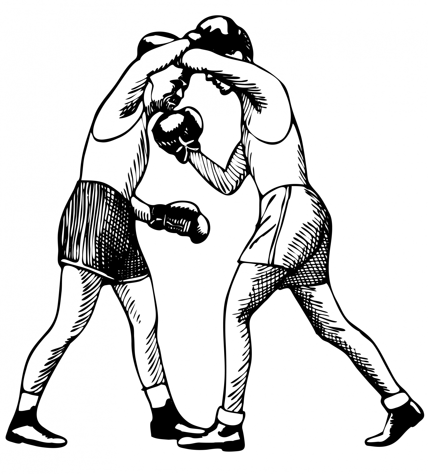 Boxing Illustration Clipart