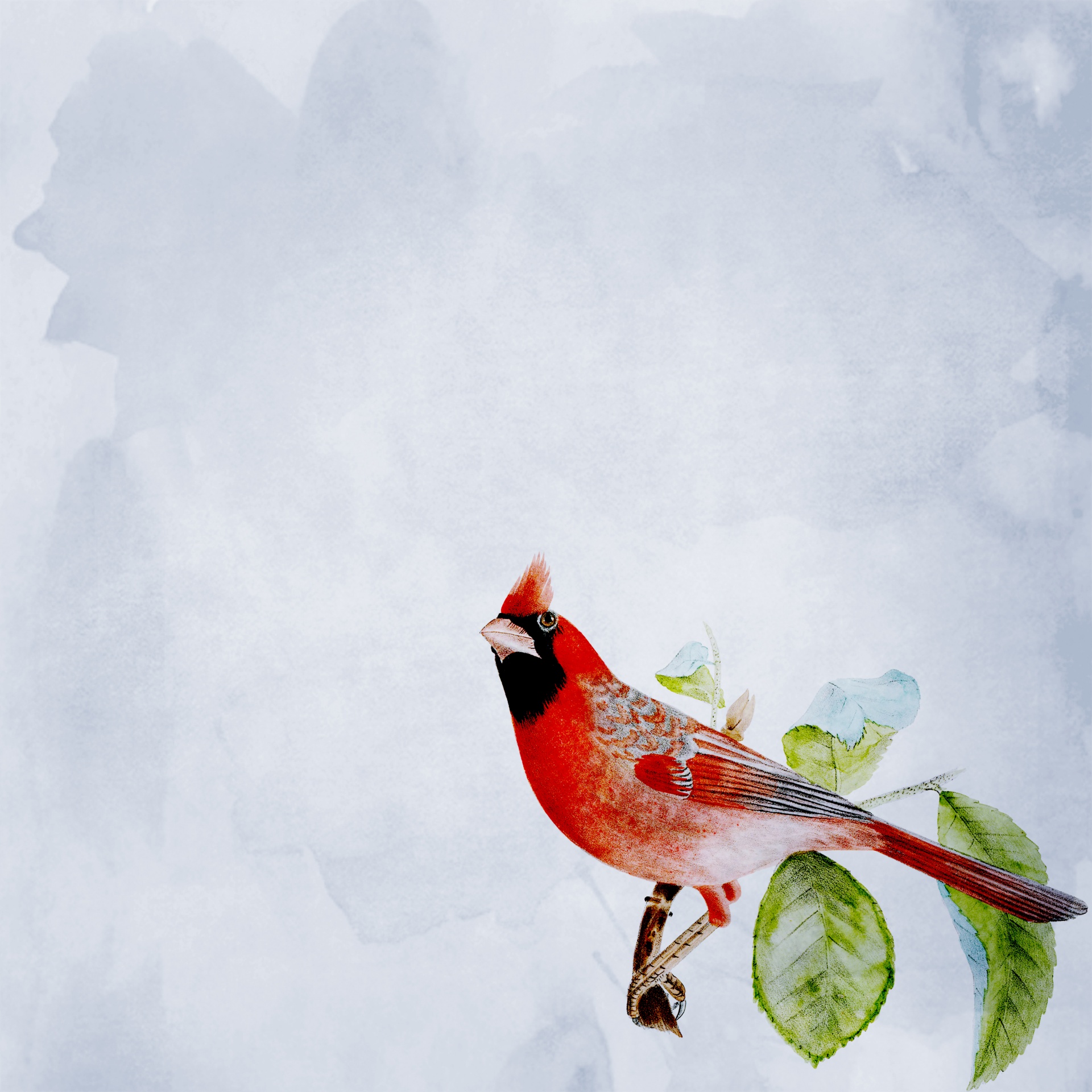 Beautiful vintage red cardinal bird watercolor wallpaper background