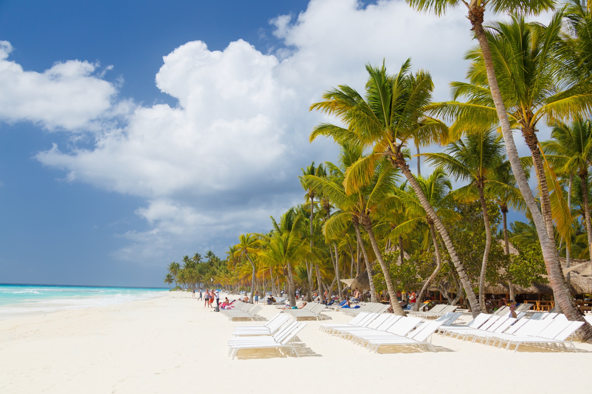 Caribbean white beach with palm trees and sunbeds