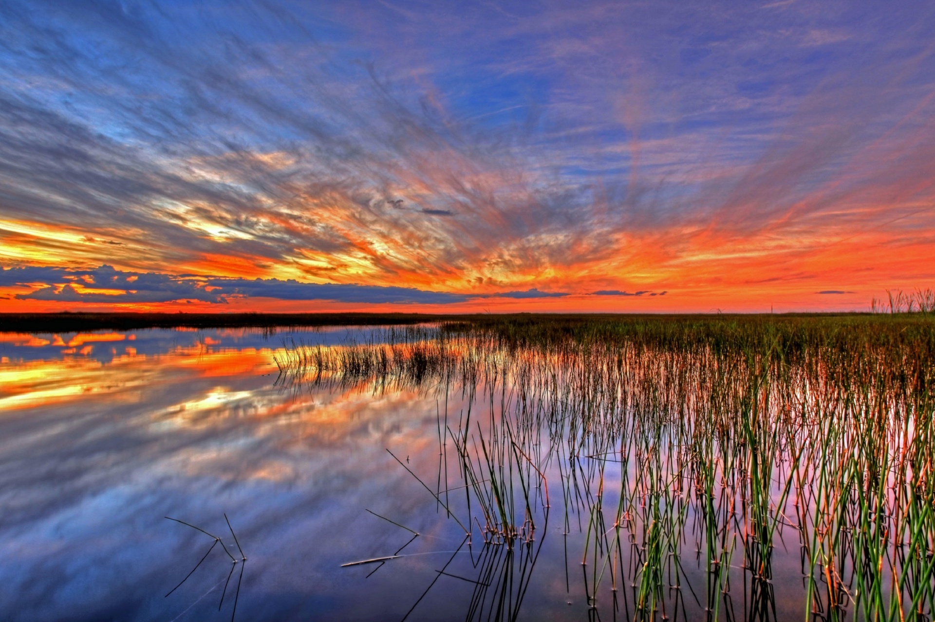 Colorful Everglades Sunset