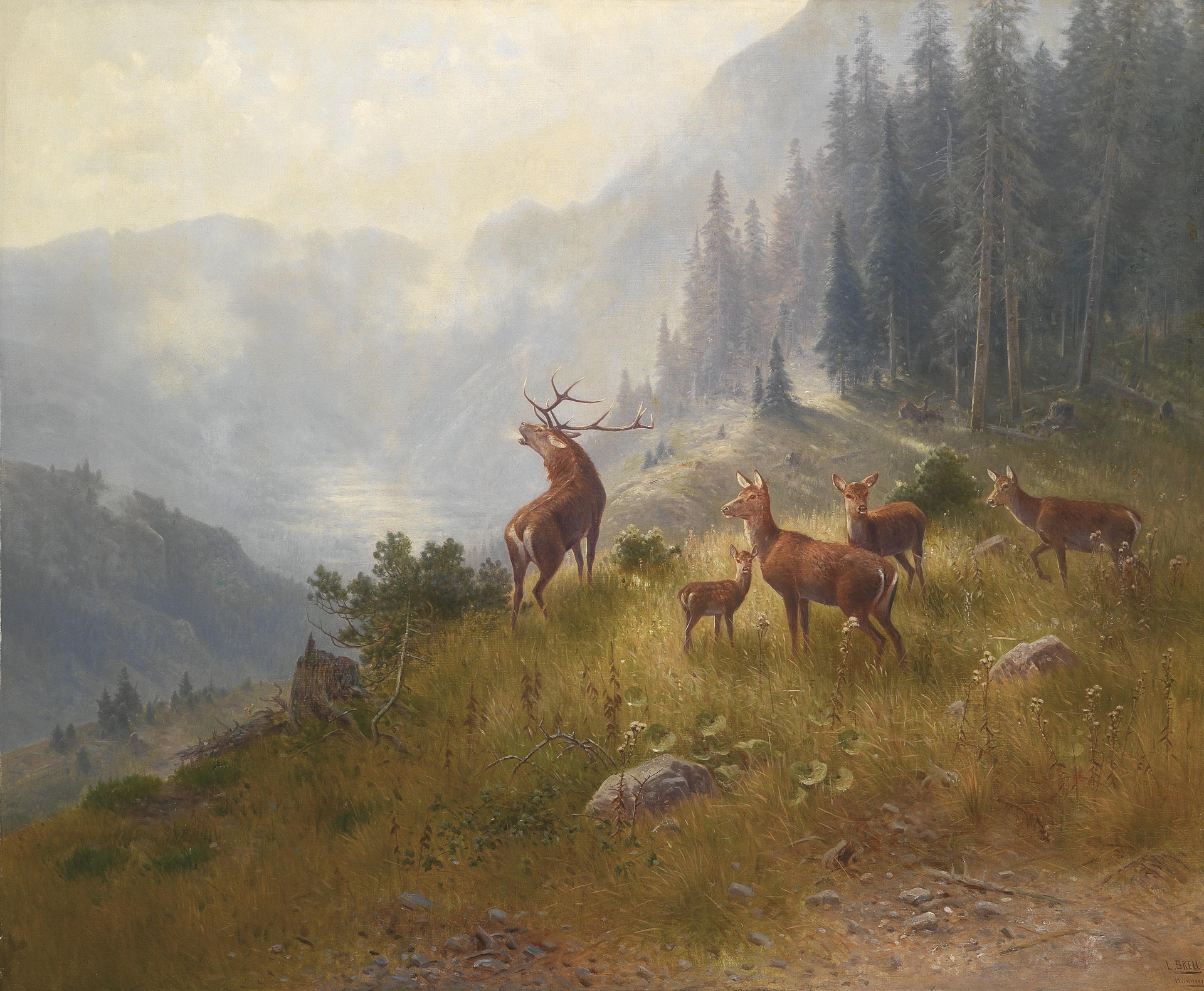 Deer On A Mountainside