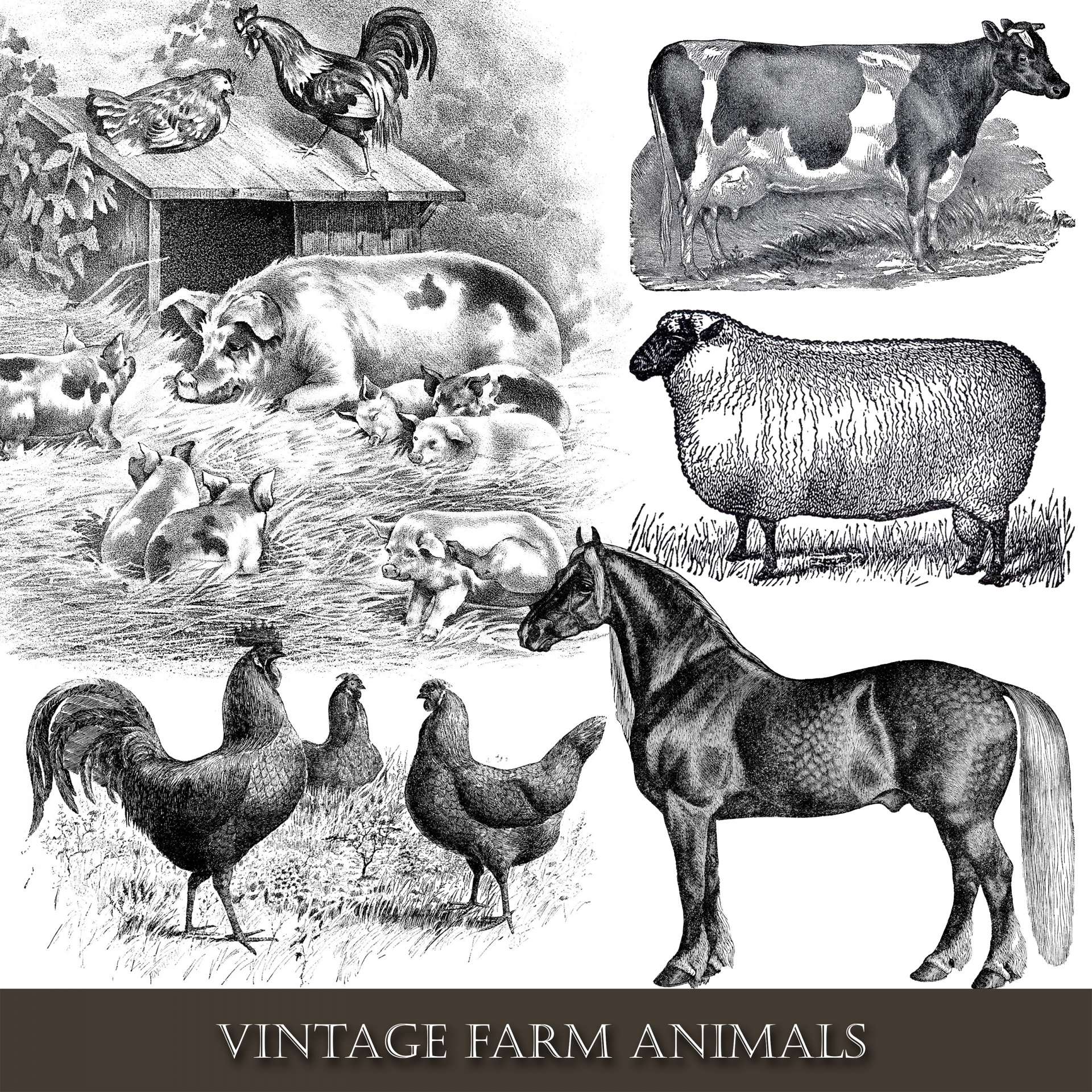 Vintage victorian farm animals clipart