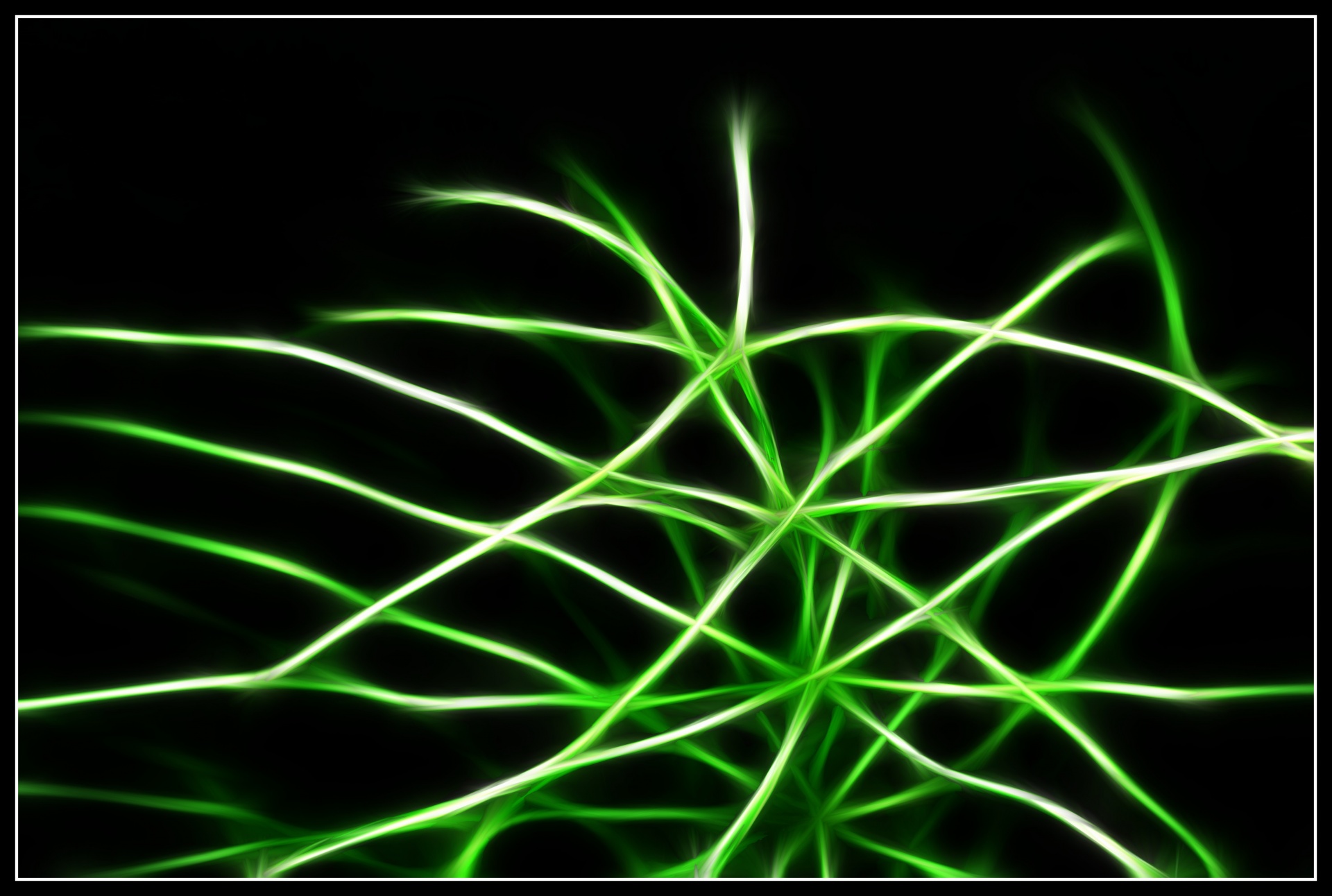 Manipulated picture of a horsetail