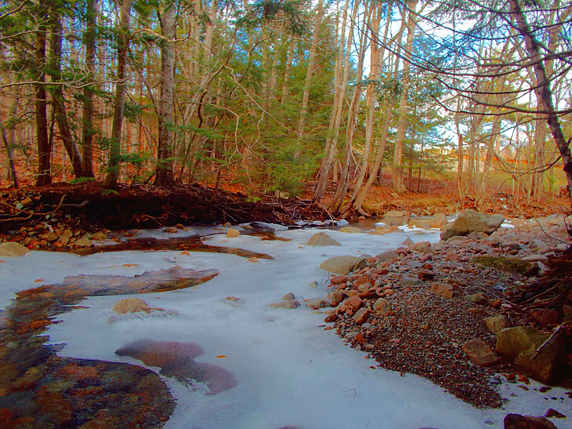photo of a frozen brook in Acadia National Park