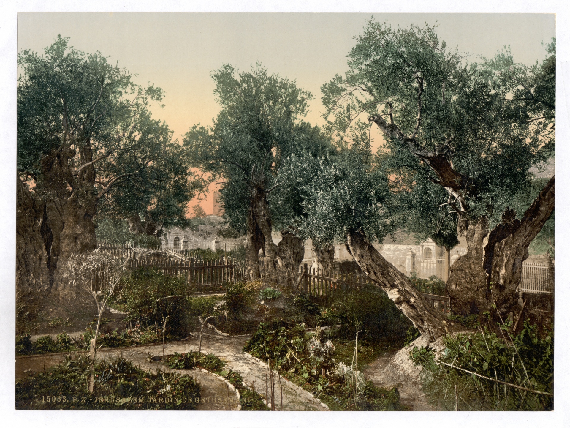 Garden Of Gethsemane