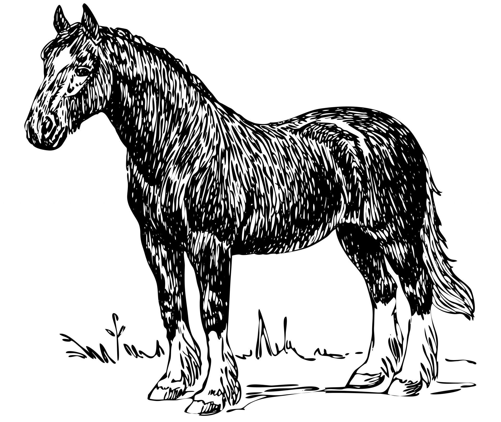 Farm horse illustration clipart