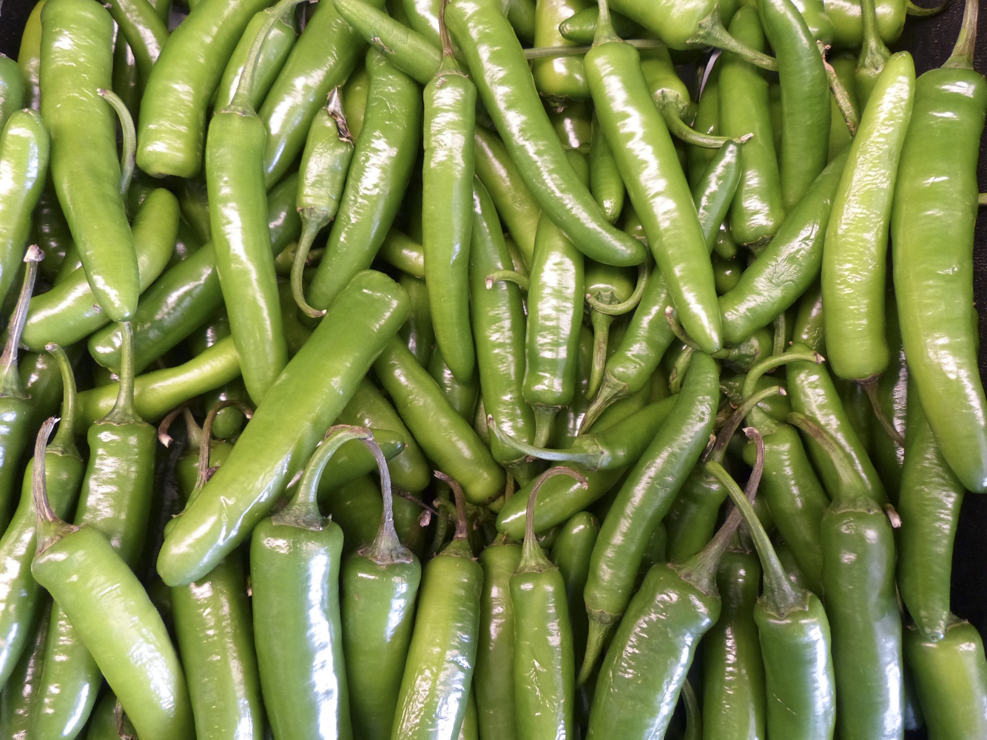 Organic chili peppers in the market