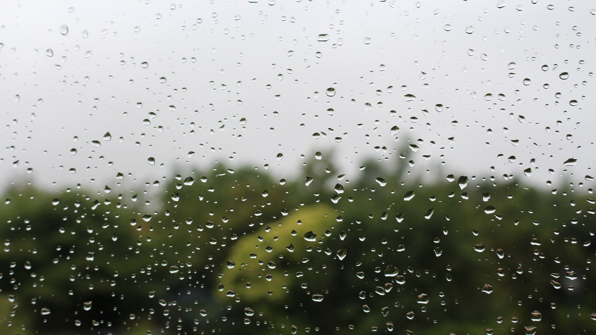 Water Drops, Rain, Forest, Glass, Wallpaper, Background, Glass, Drops Rain, Windows, Dew