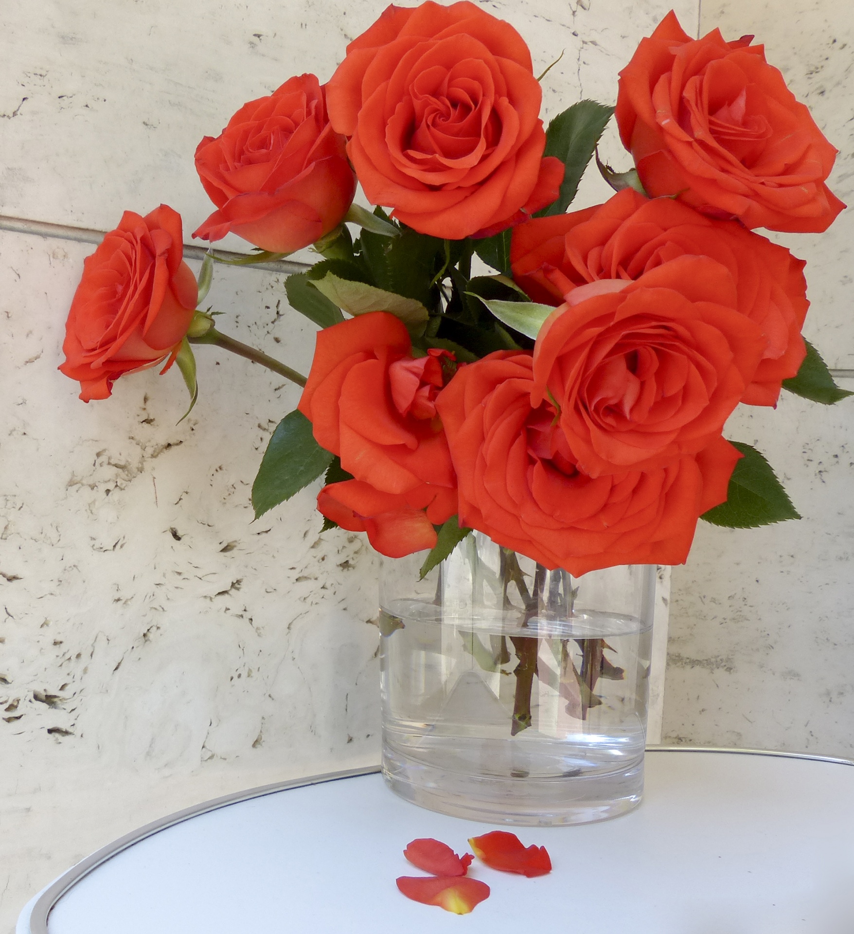 Red rose flowers in a clear vase on a white shelf