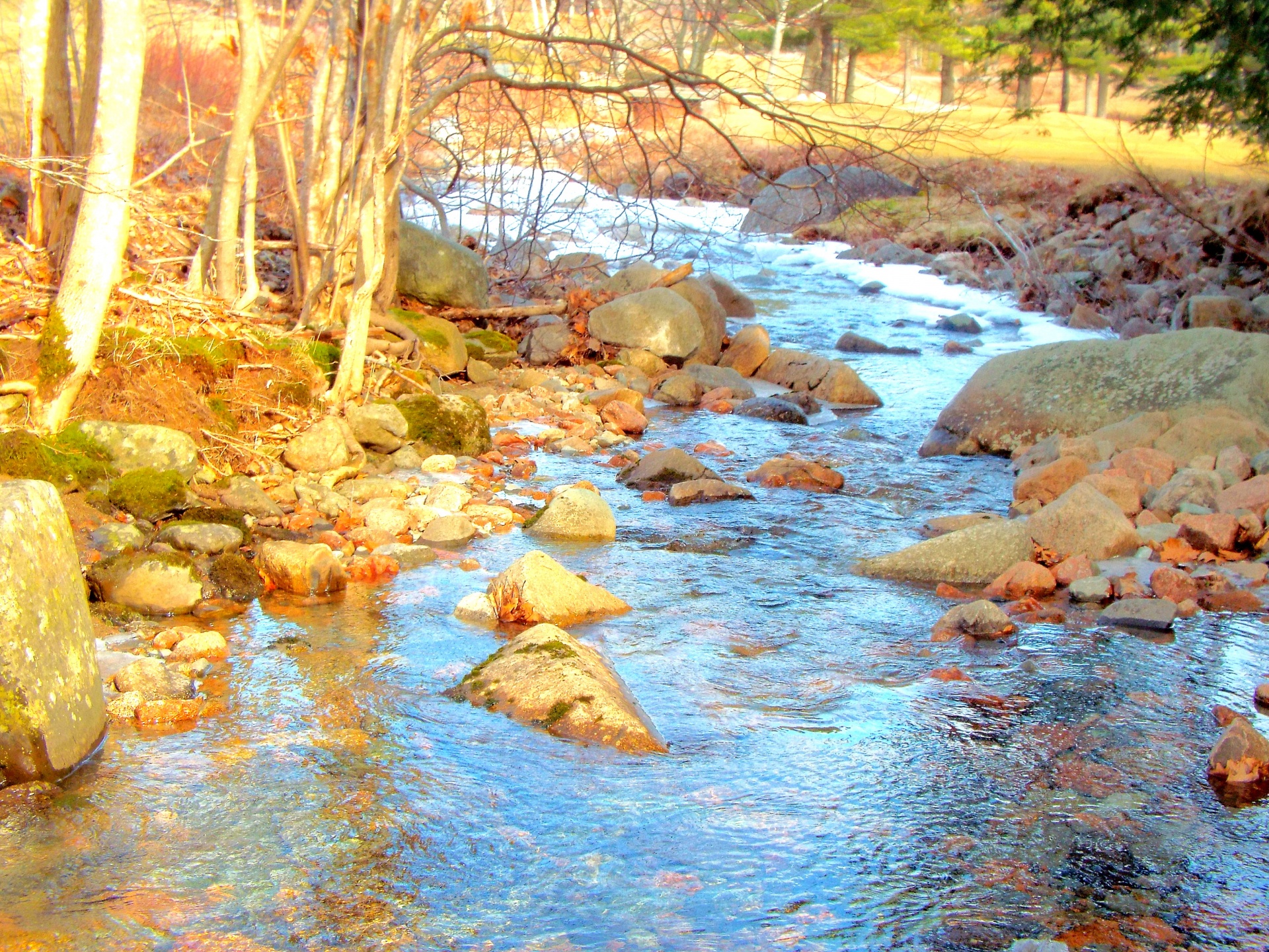 photo of a brook in Acadia National Park