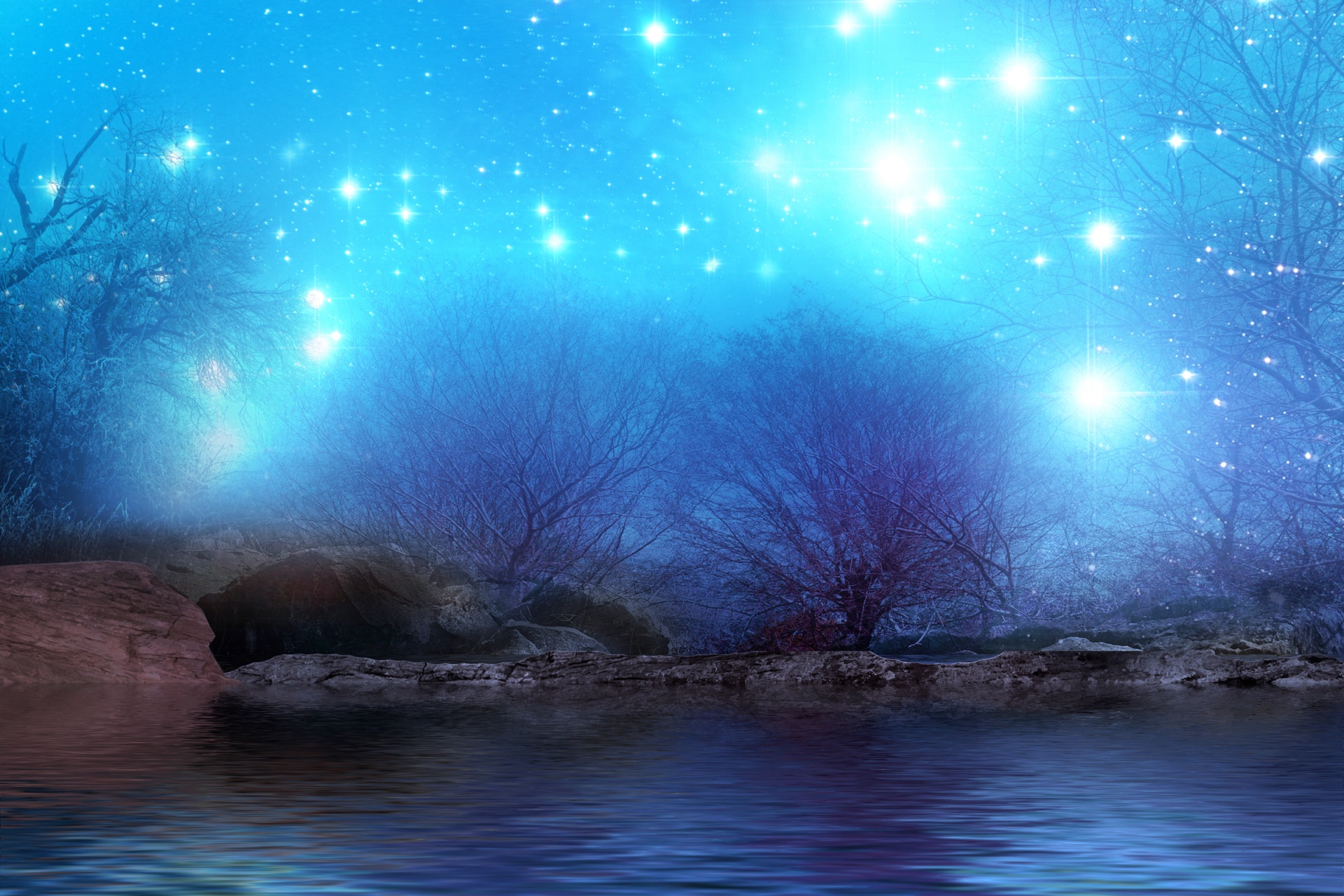 Fantasy background of night forest resplendent in the starry sky