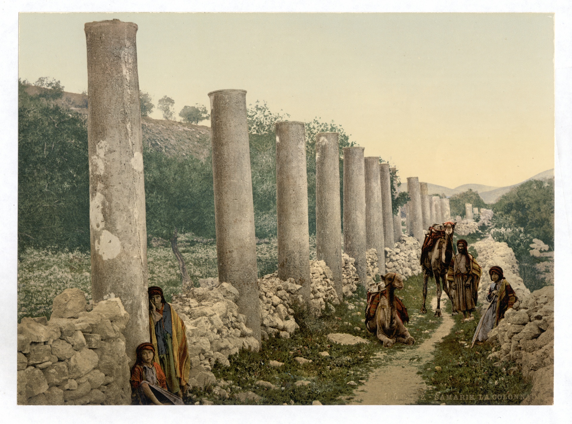 The Colonnade Samaria