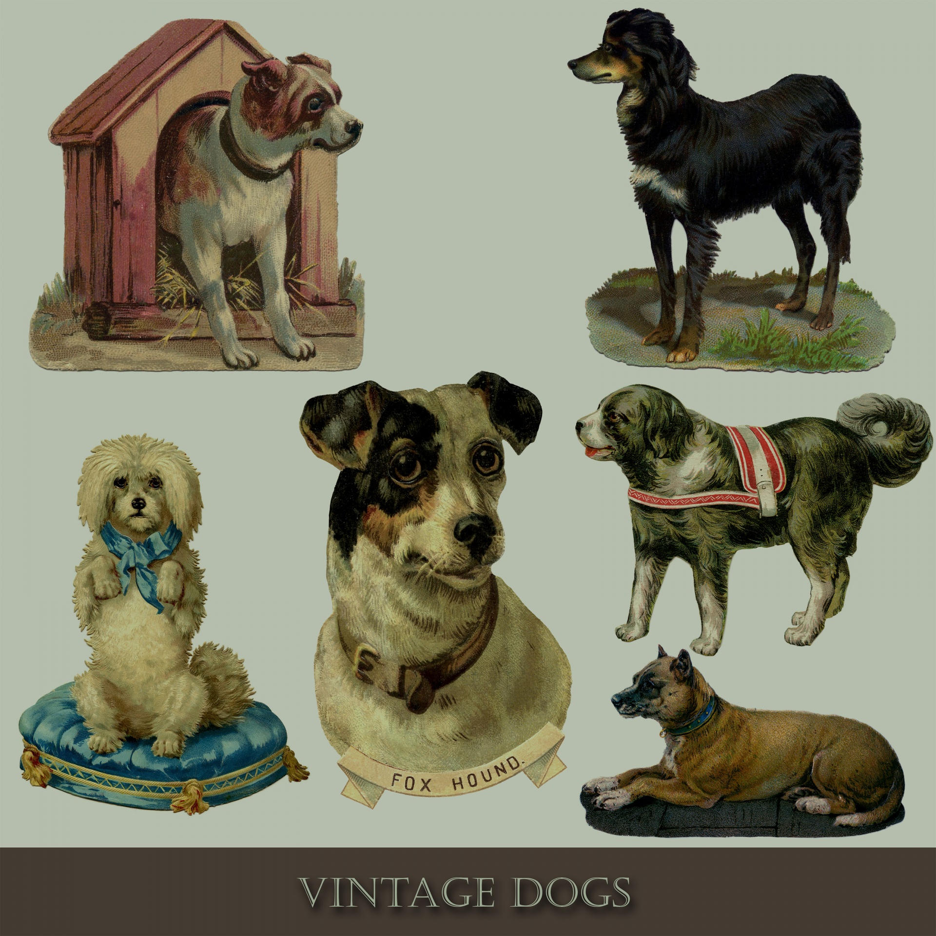 Vintage Dog Set Illustrations