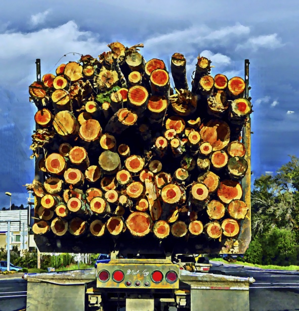 Logger Truck Free Stock Photo - Public Domain Pictures