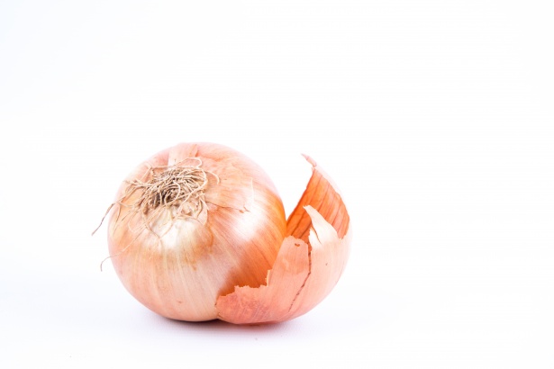 Onion Free Stock Photo - Public Domain Pictures