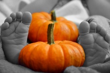 Baby Feet With Pumpkins