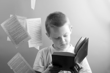 Boy And Book