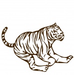 Brown Tiger