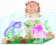 Cat And Aquarium