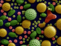 Colorized Pollen Macro View
