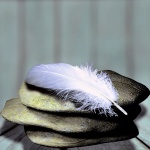 Feather On Stone
