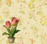 Floral Wallpaper Tulips Background