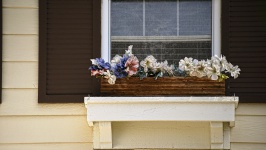Flowers In A Window Box