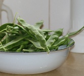 Freshly Picked Beans In A Bowl