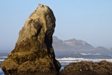 Large Rock At The Beach