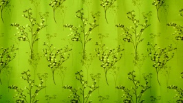 Olive Curtains Background