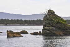 Oregon Coast Rocks 2