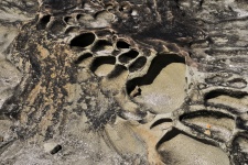 Petrified Sand