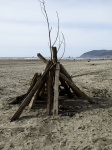 Pile Of Wood On The Beach