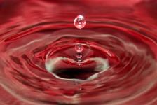 Red Water Droplet Macro View