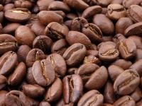 Roasted Coffee Beans Portrait
