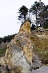 Rocky Cliff With Trees
