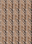 Sepia Highrise Building Duplication