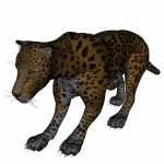 Stealth Panthera