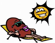 Sunbathing