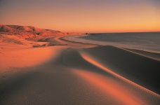 Sunset At Ocean Dunes