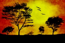 Sunset Trees Illustration Wallpaper