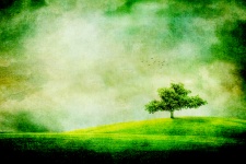 Tree On Hill Illustration