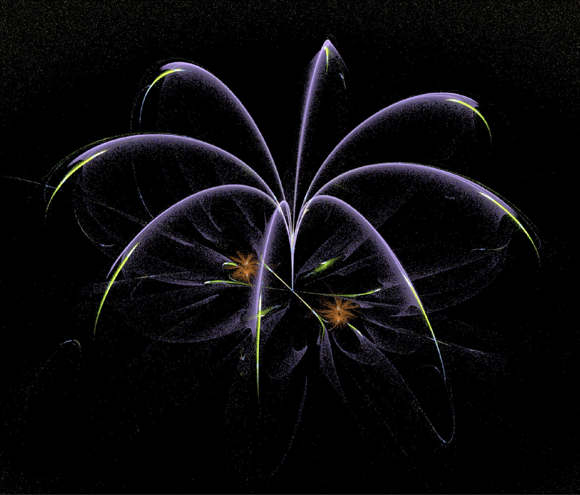 fractal amazing flower isolated on black background
