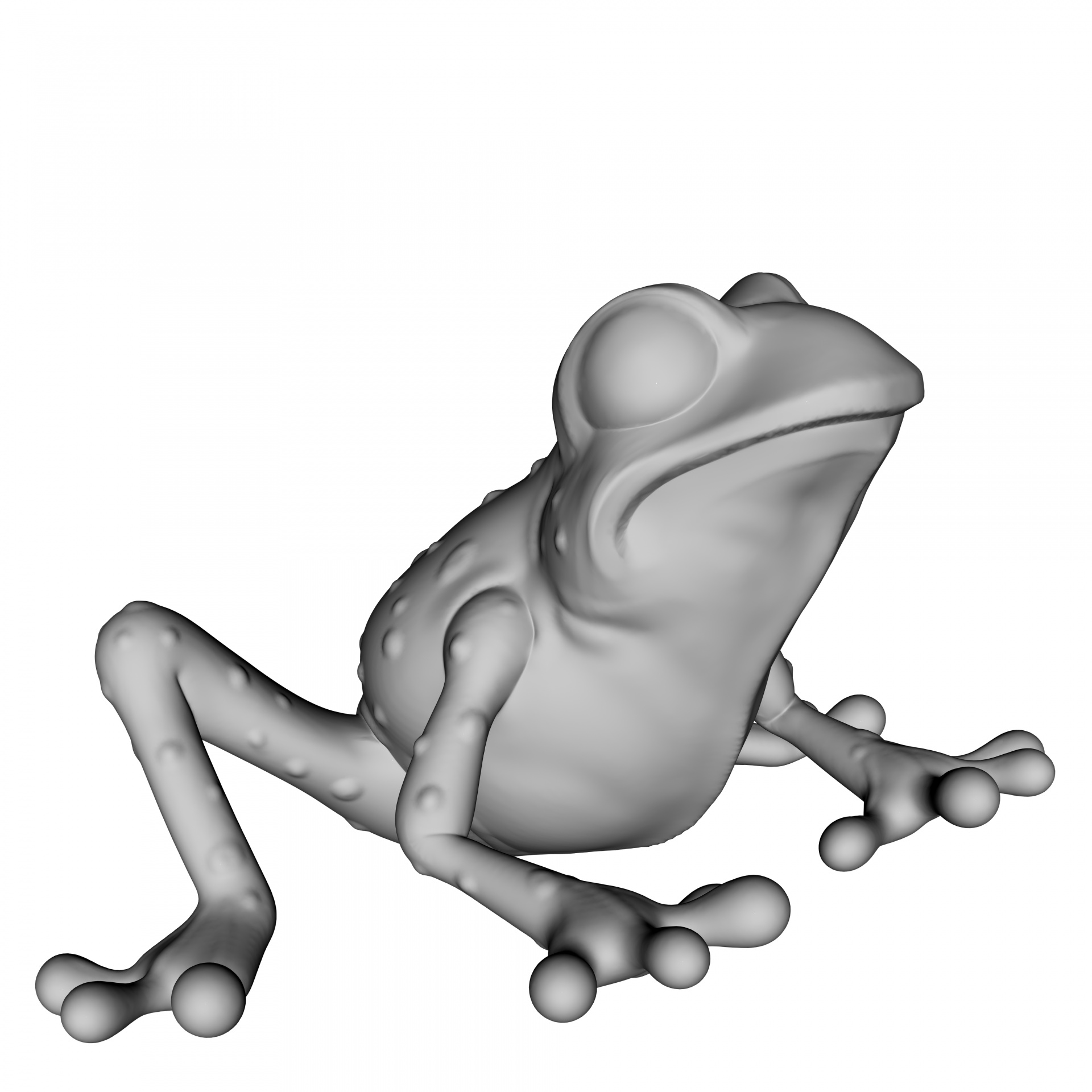 grey frog isolated on white background